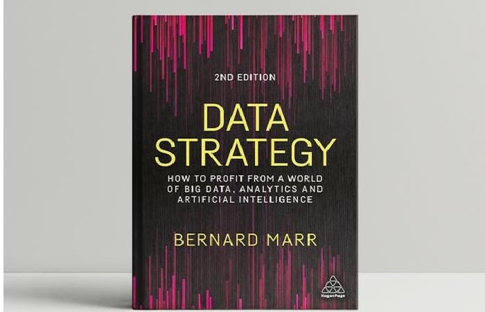 Data Strategy Book