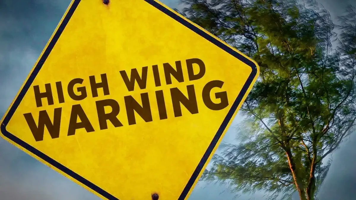 High Wind Warning, Safety Rules and Advice by Weather Services, What to do?