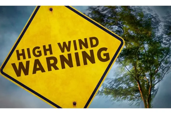High Wind Warning, Safety Rules and Advice by Weather Services, What to do_