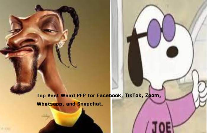 Top Best Weird PFP for Facebook, 