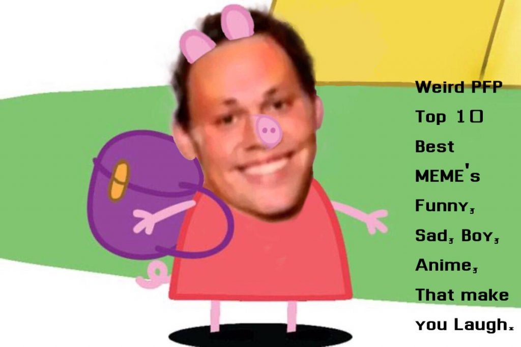 Weird PFP Top 10 Best MEME's Funny, Sad, Boy, Anime, That make you Laugh.