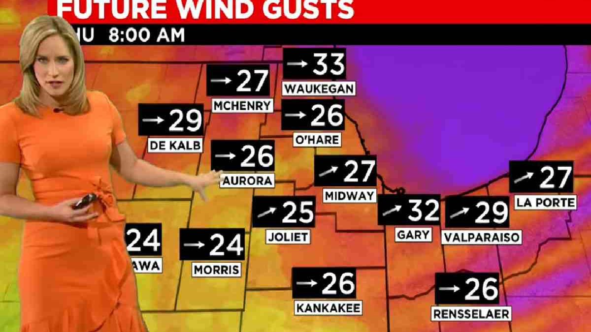 High Wind Warning, Safety Rules and Advice by Weather Services, What to do?