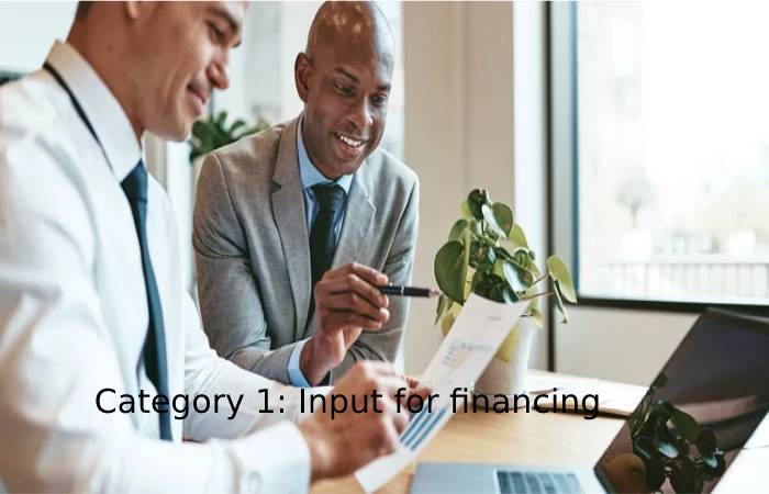 Category 1: Input for financing decisions