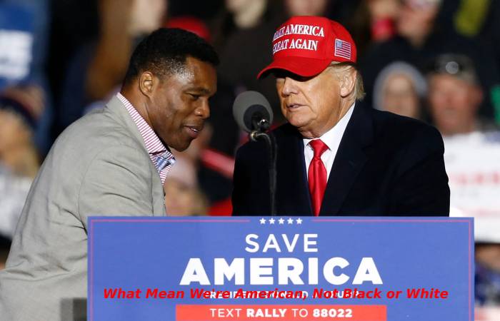 What Mean We're American, Not Black or White