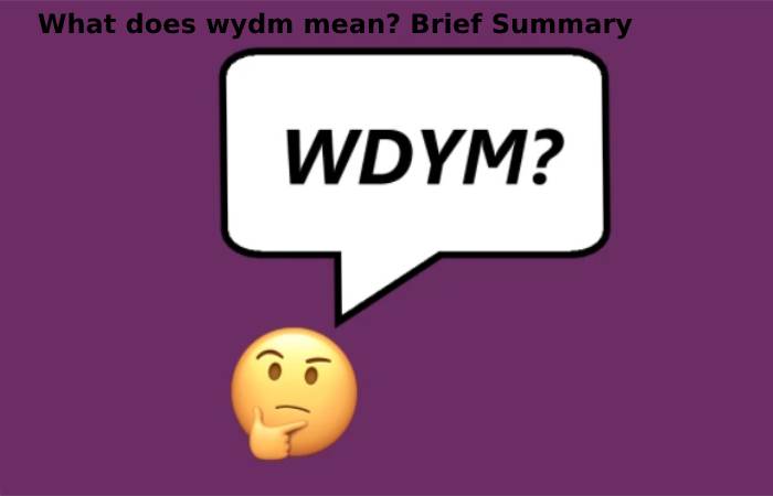 What does wydm mean? Brief Summary