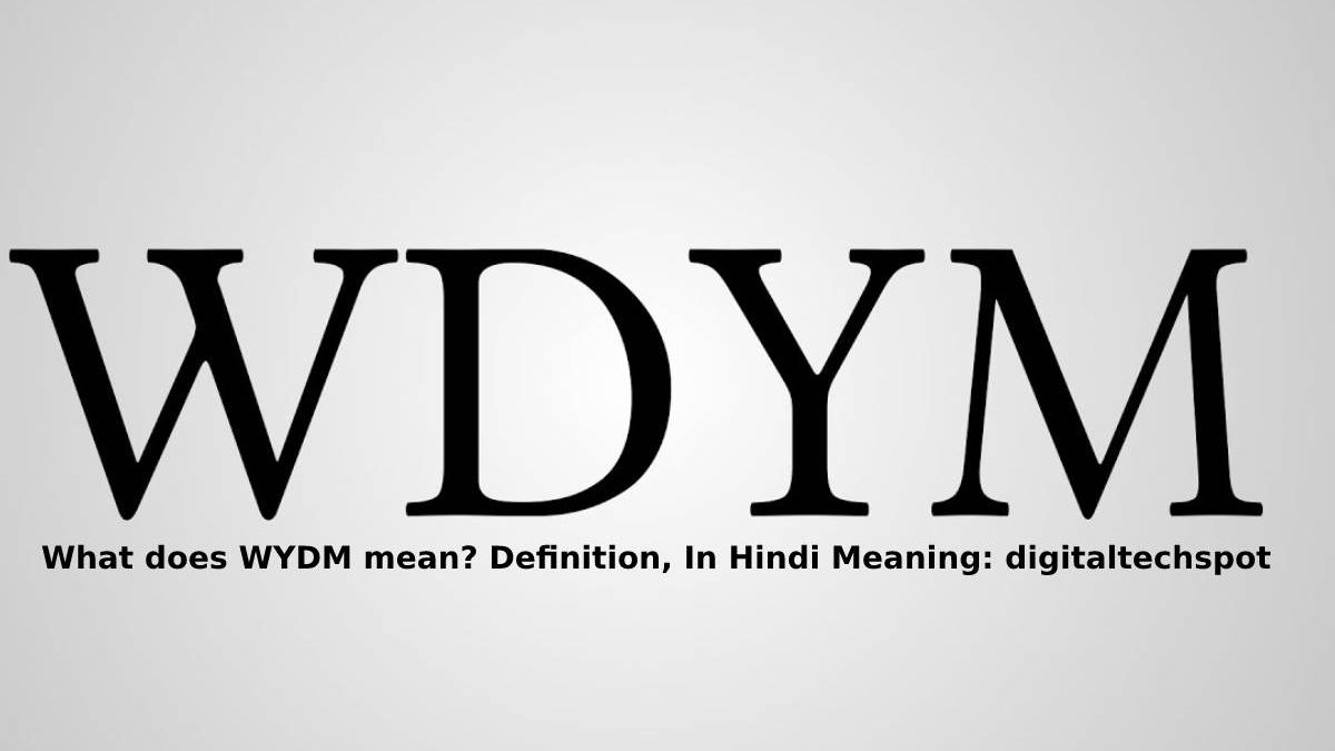 What does WYDM mean? Definition, In Hindi Meaning