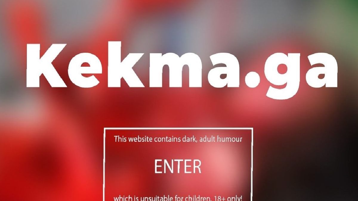 what is Kekma net? Why not to use, reviews, reasons, problems &more