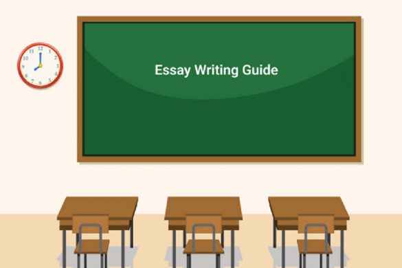 Essay Writing For Beginners: A Guide