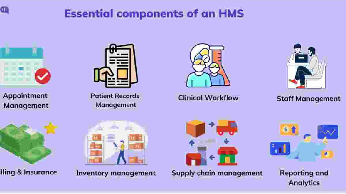 The Hospital Systems