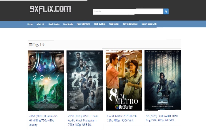 What is a 9xflix movie