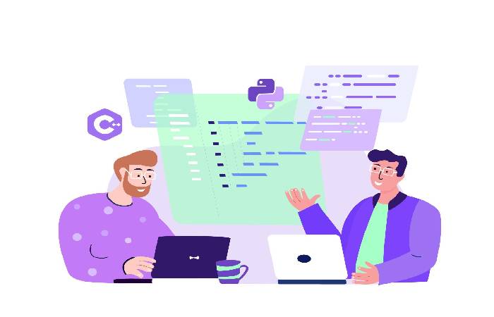 Python Developer