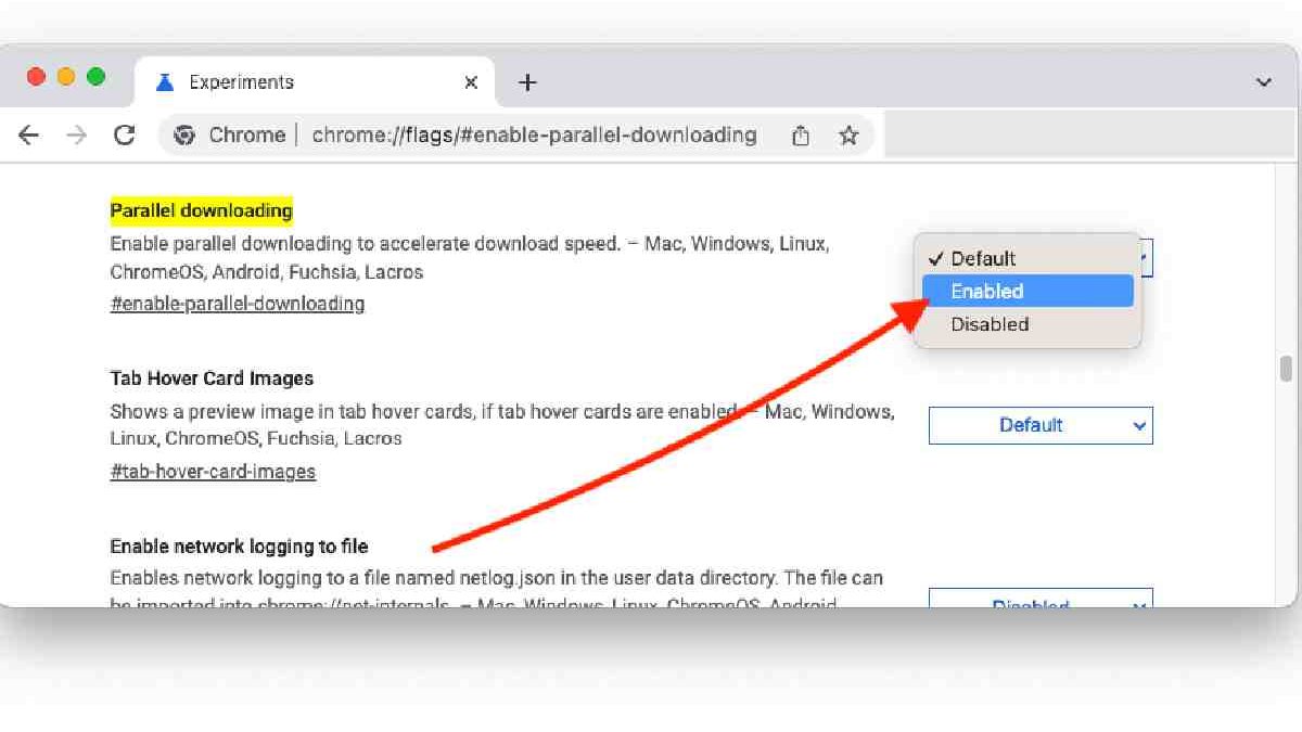 Chrome Flags /# Enable Parallel Downloading.