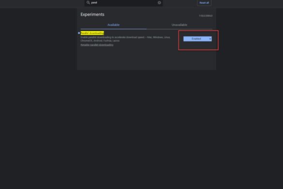 Chrome Flags /# Enable Parallel Downloading.