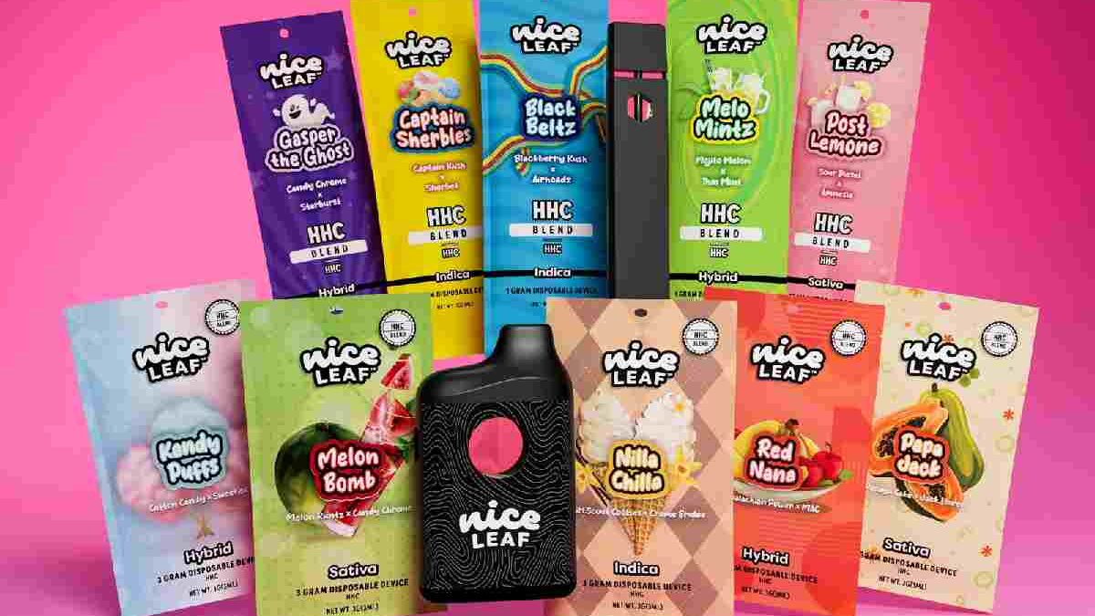 What Are The Different HHC Vape Flavors To Carry On A Camping Trip?